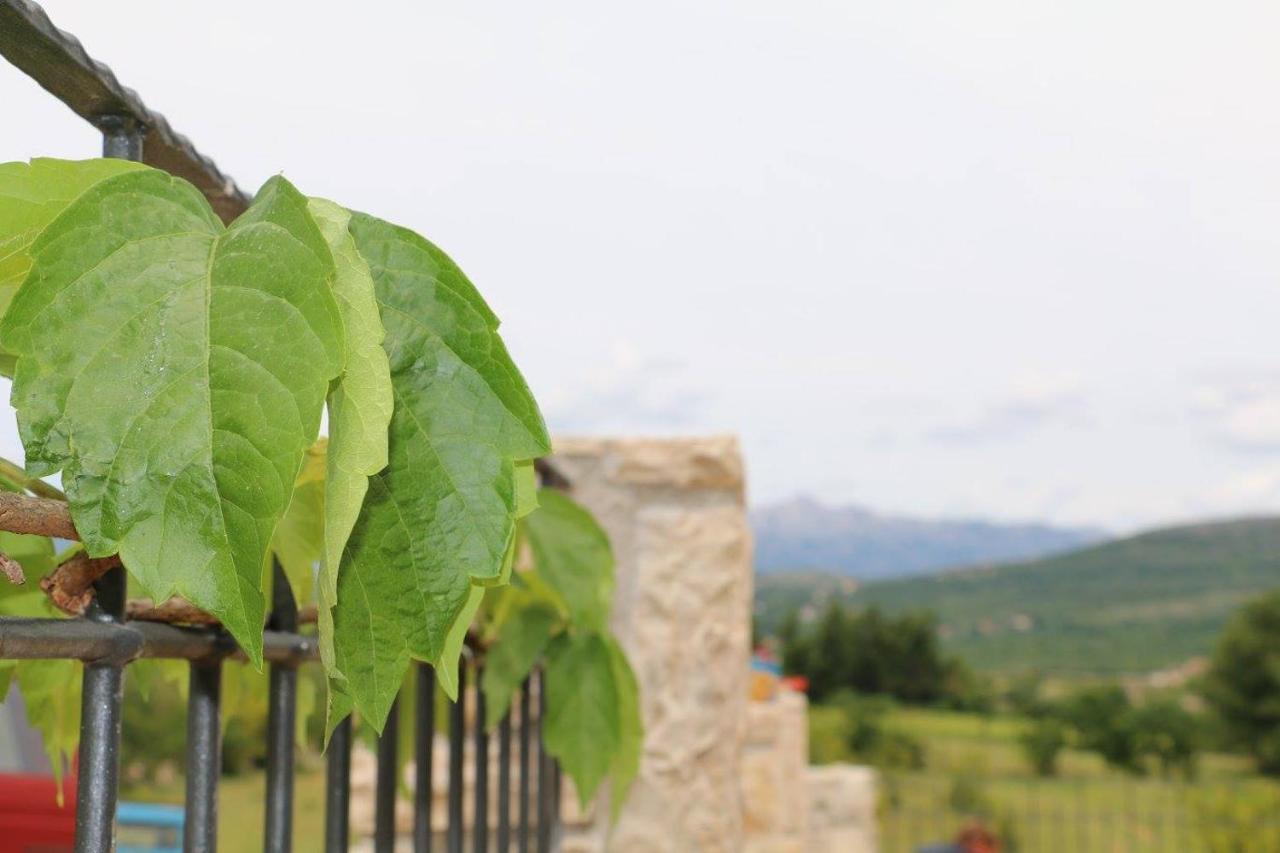 Stone House Skrivena Villa Pridraga Exterior photo